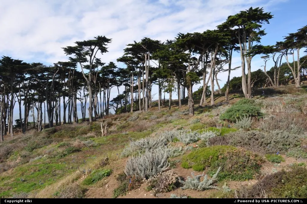 West San Fancisco coast.