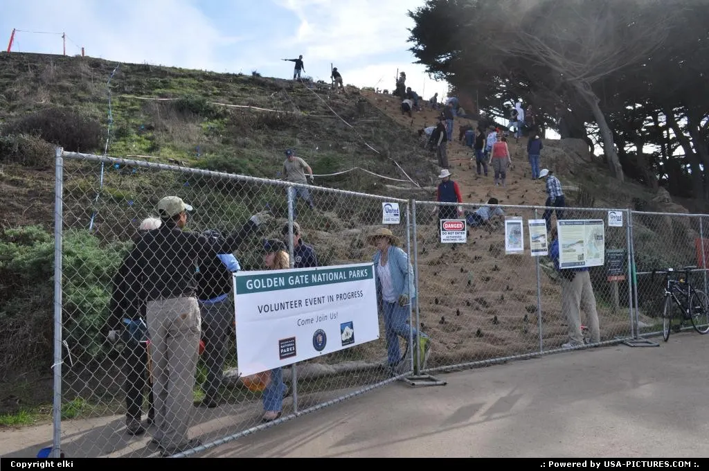 volunteer seeding bushes, or tree along the coastal trail.