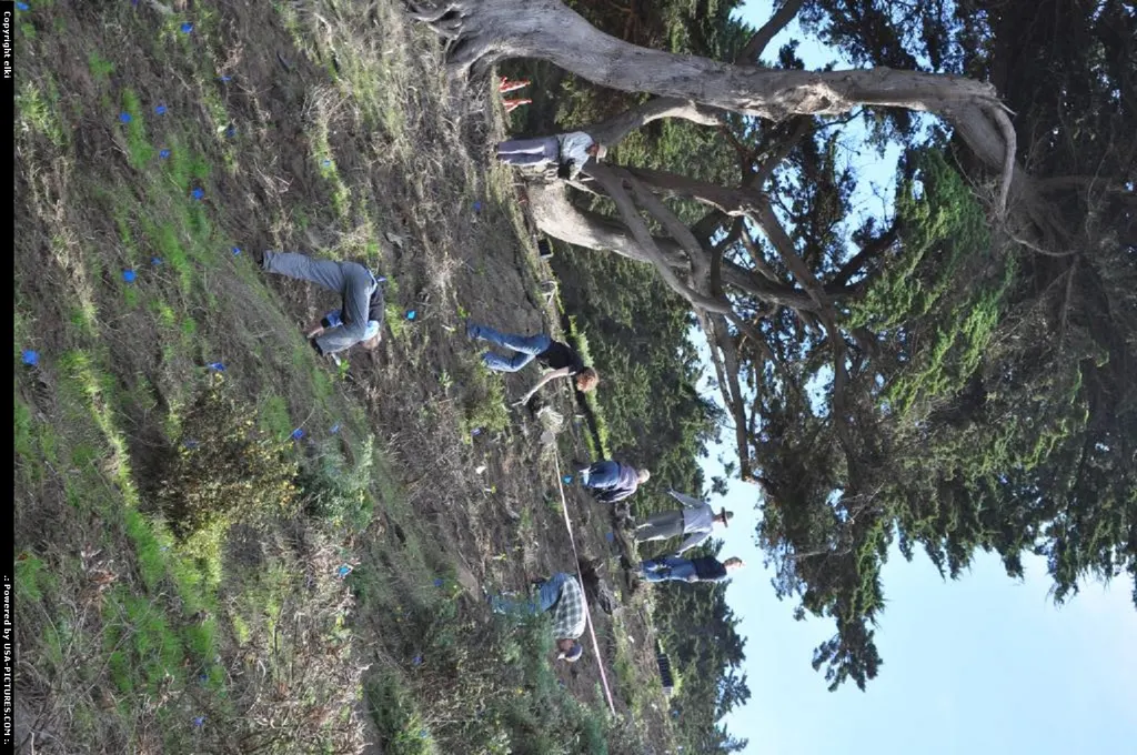 volunteer seeding bushes, or tree along the coastal trail.