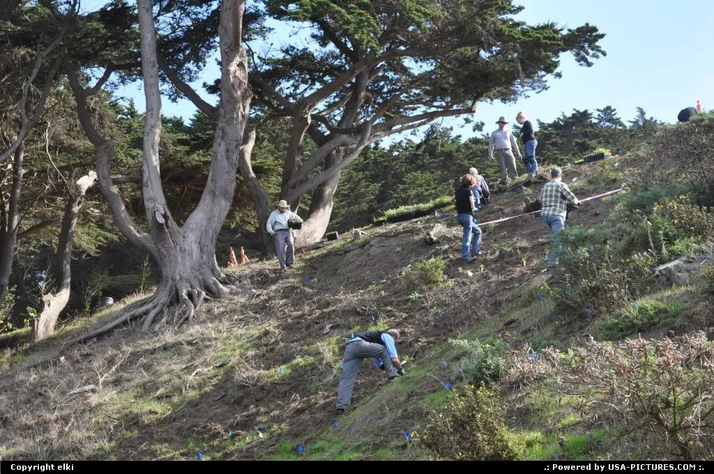 volunteer seeding bushes, or tree along the coastal trail.