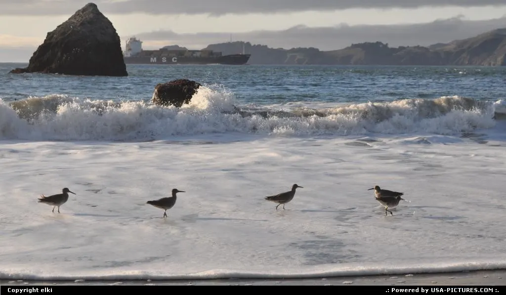 baker beach