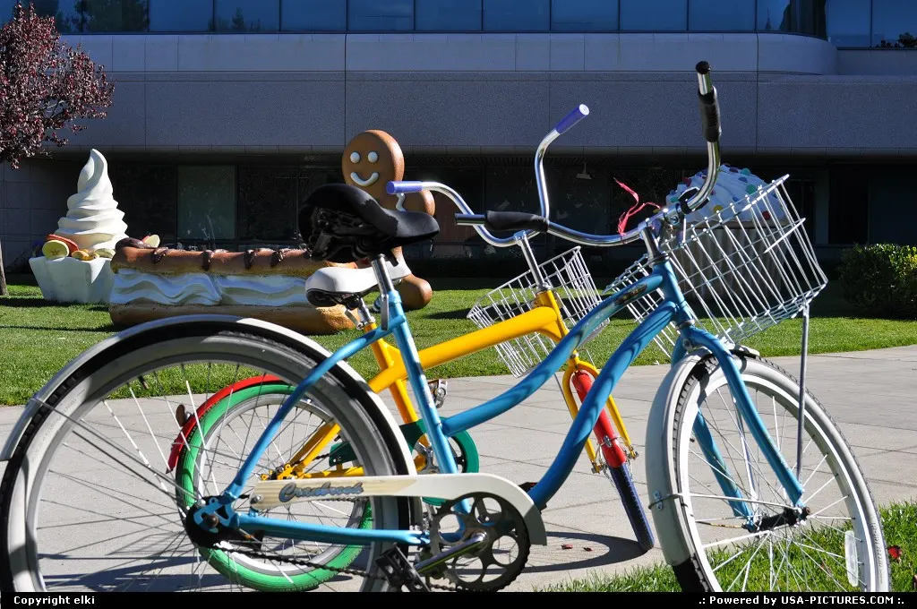 Google at mountain view
