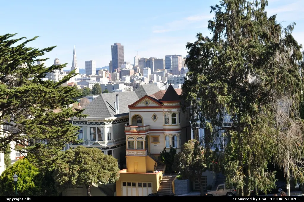 alamo park