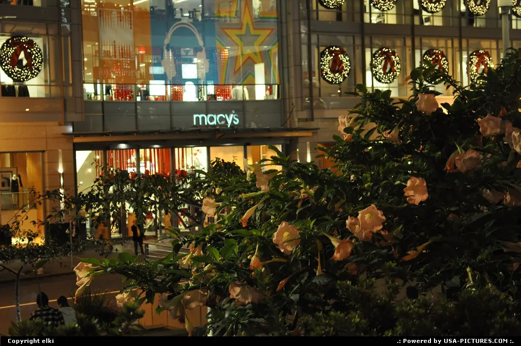union square san francisco, christmas times. Pretty decoration for the macys store