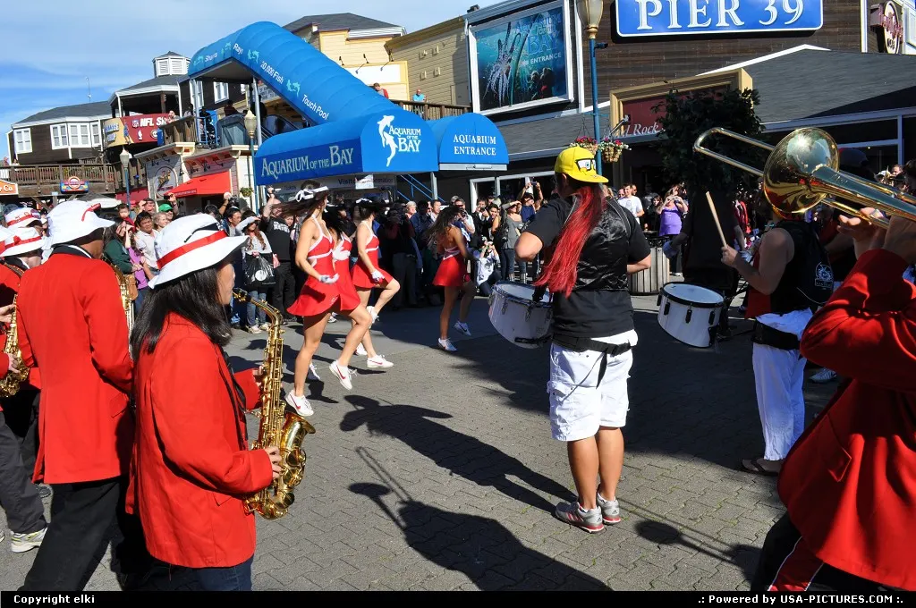 pier 39 animation
