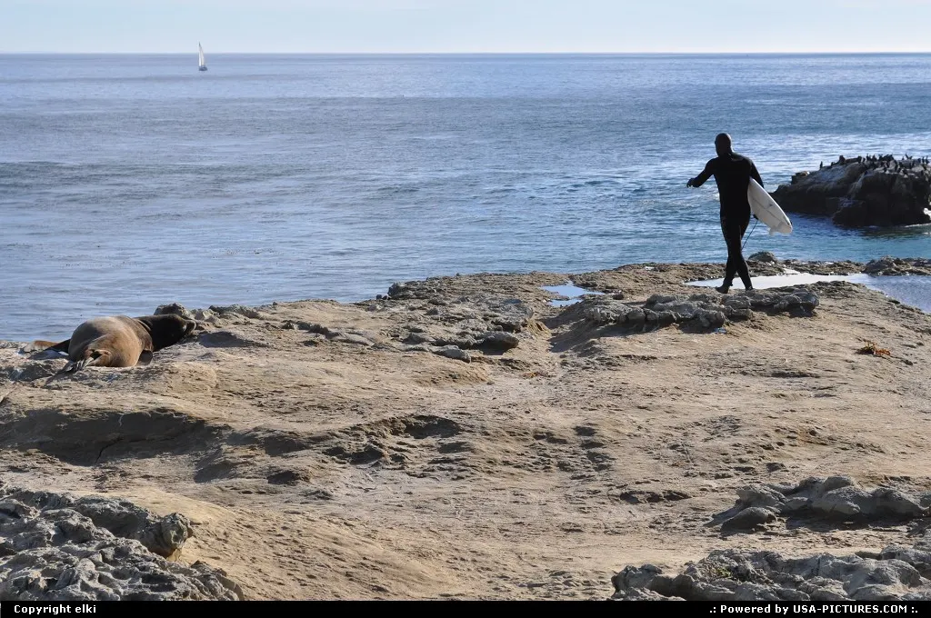Go surfing at santa cruz california.