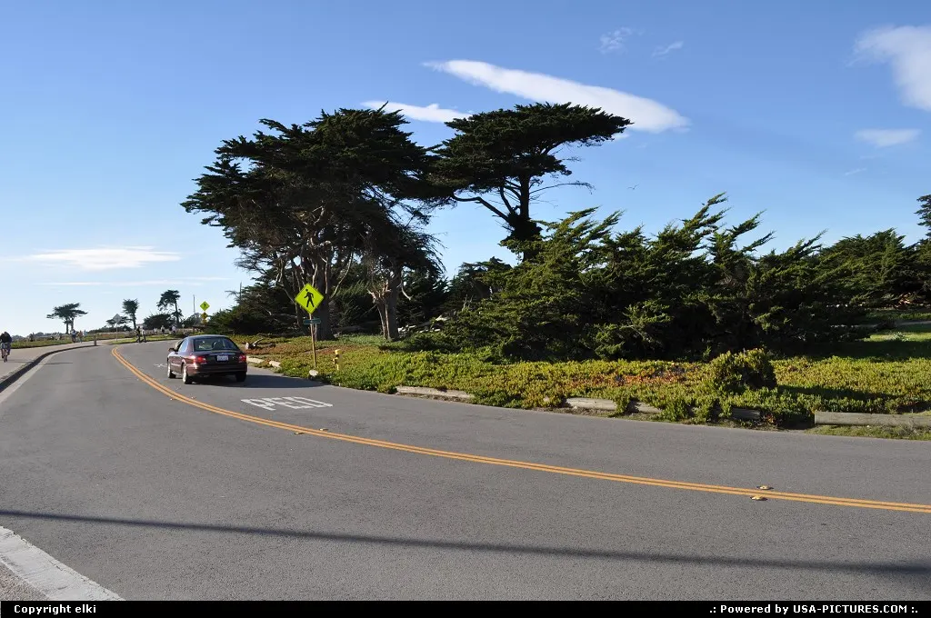 Highway 1 santa cruz, enjoy this along pacific coast road.