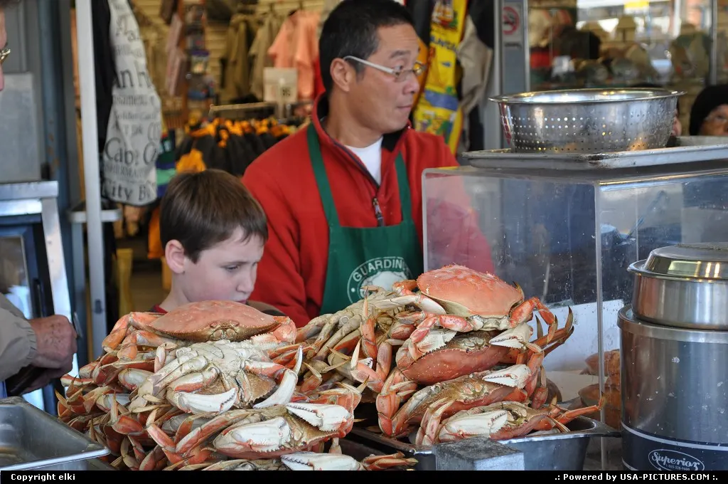San francisco fishermanwharf, crab live cooking !!