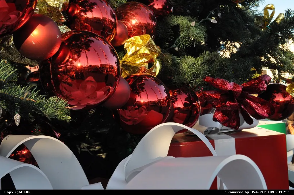 fishermanwharf, christmas tree