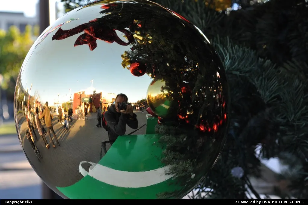 fishermanwharf, christmas tree