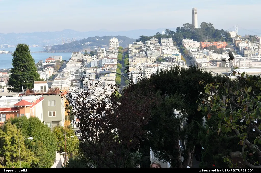coit tower, view from lombart street