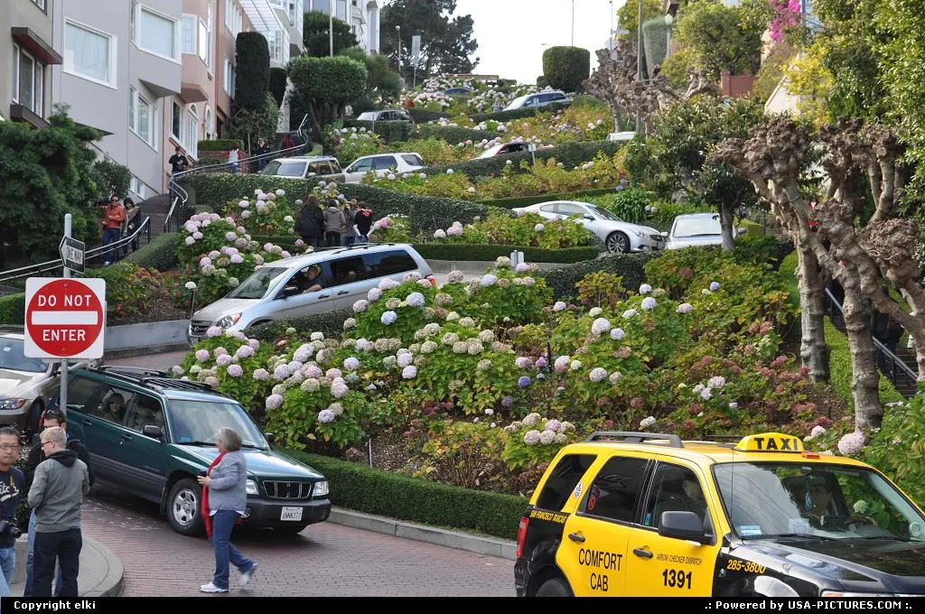 Lombard street, the crookedest road in the world