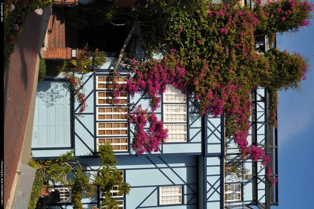 Lombard street, houses
