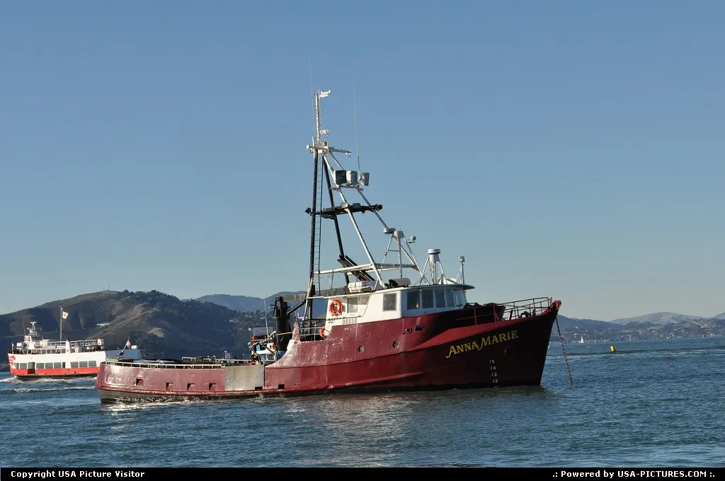 San francisco bay