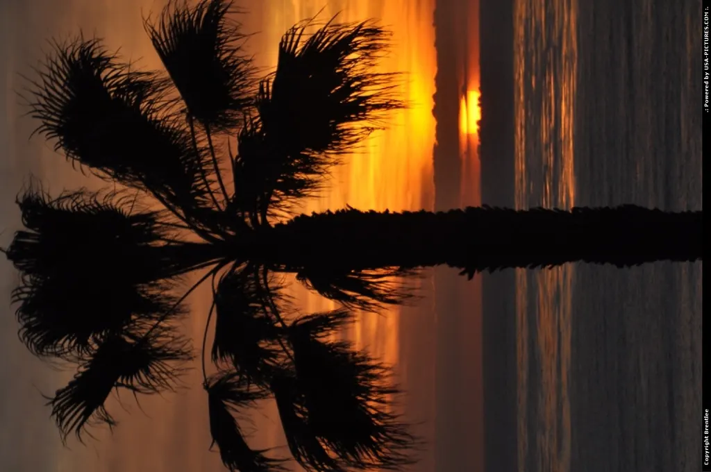 LaJolla Sunset
