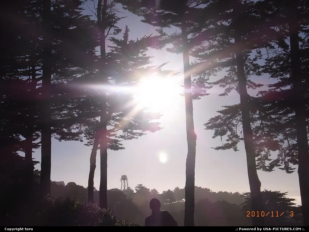 sunshine