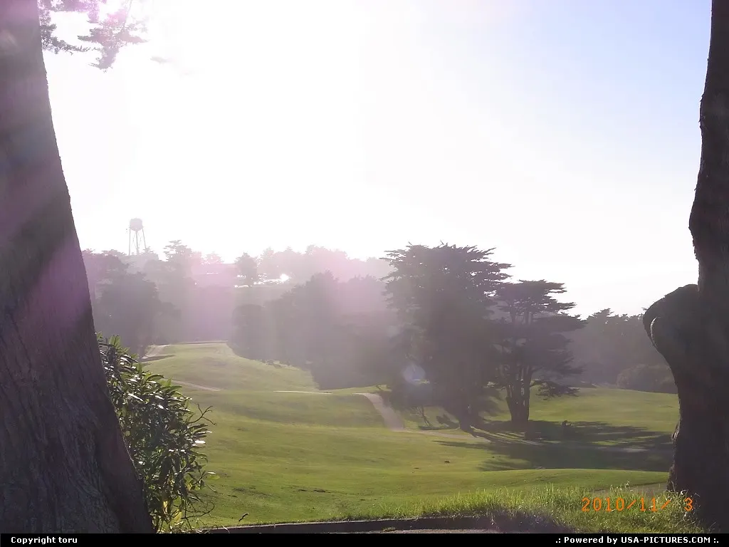 golf field
