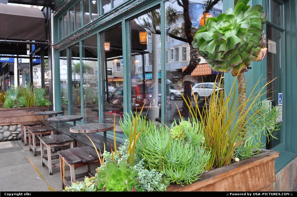 Marina district, i discovered this neighborhood while heading the exploratorium.