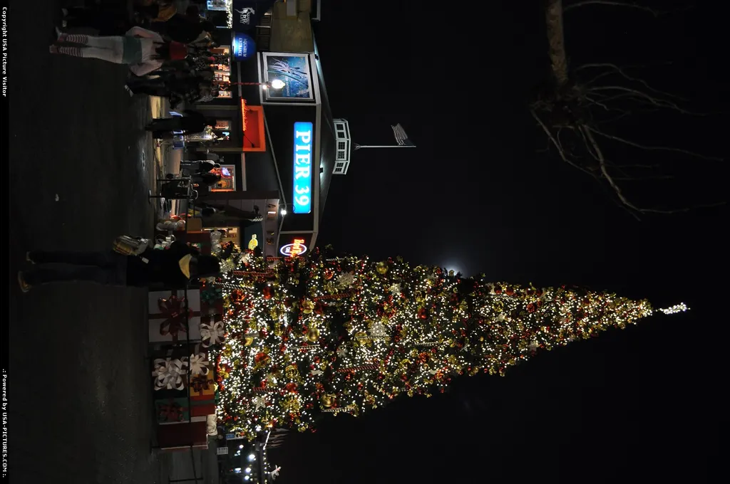 fishermanswharf PIER 39 christmas tree