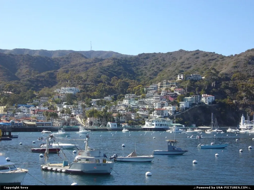 Catalina Island