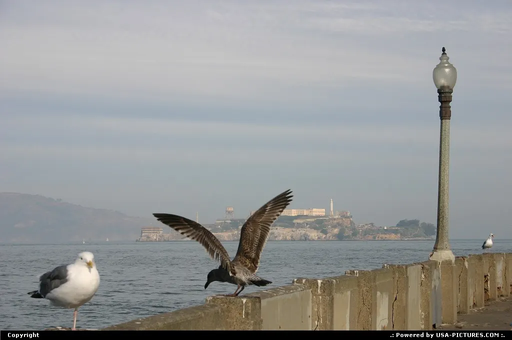 San Francisco California