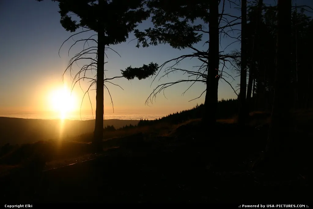 Sunset in Redwood. Breathtaking!