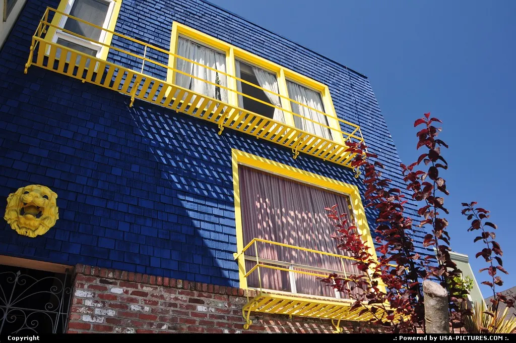 Deep blue painted house in the Twin Peaks neigbourhood area.