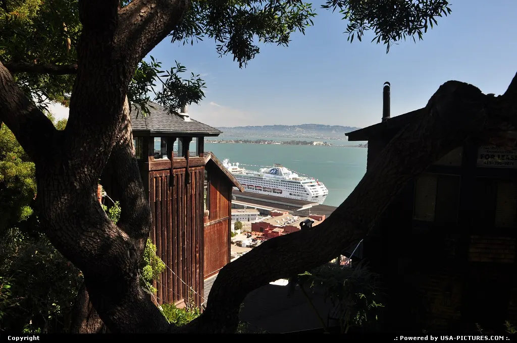 Great neighbourhood by the Coit Tower, in Telegraph Hill historic District.