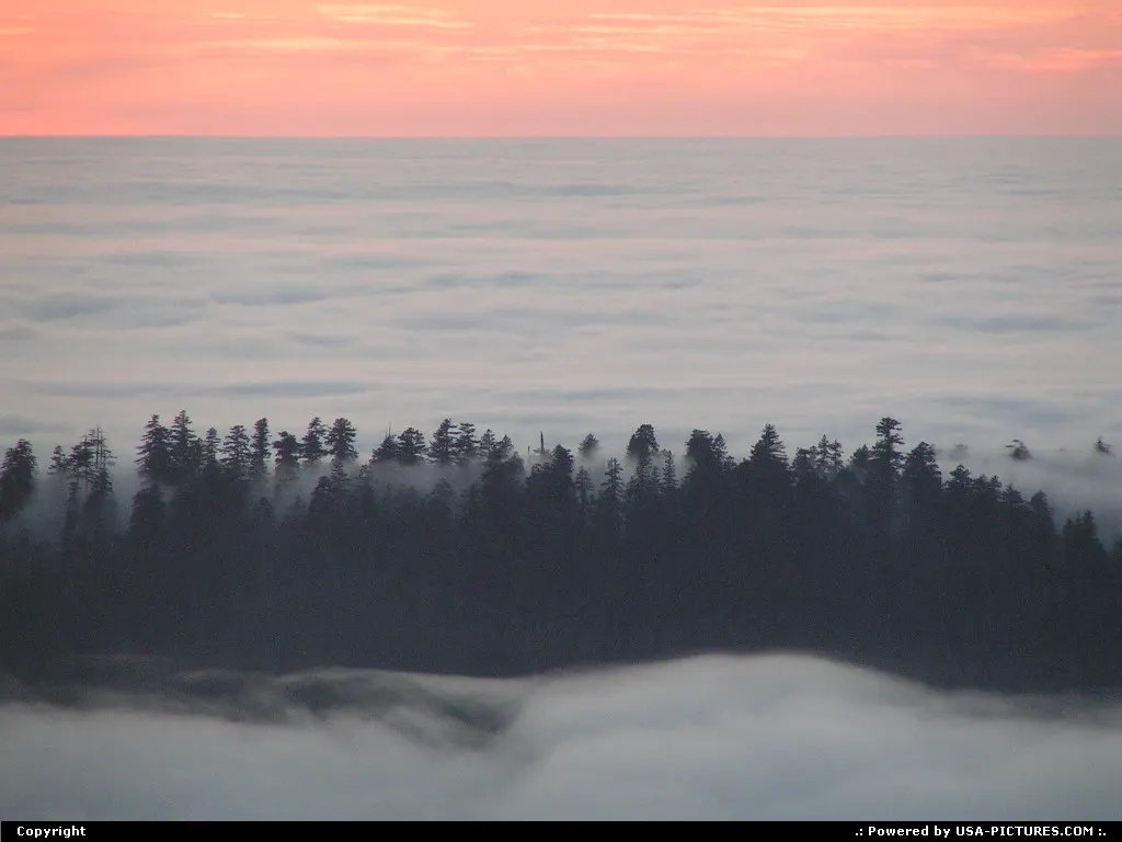 Nice sunset in Redwood National Park by the Dolason Praire traihead.