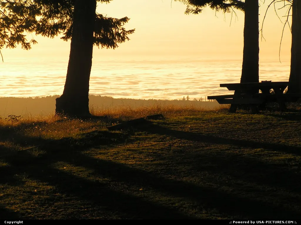 Nice sunset in Redwood National Park by the Dolason Praire traihead.
