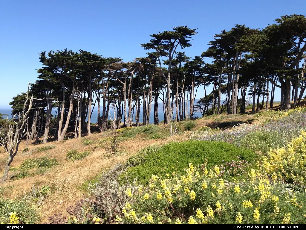 Love at first sight, that's San Francisco all right.