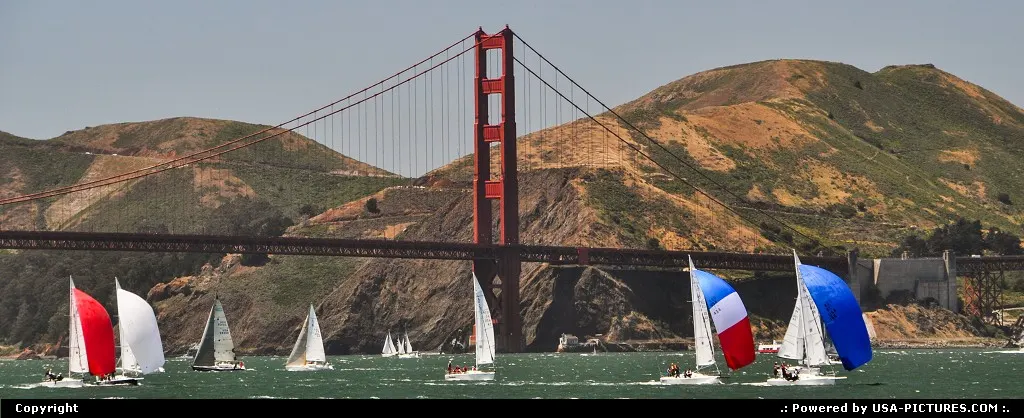 Sailing the Bay must be a trill ...