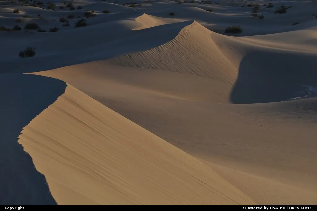 Sand Dunes at dusk