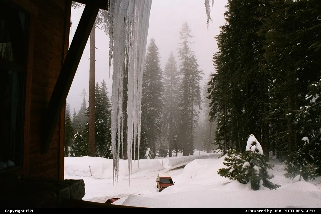 Winter in Sequoia