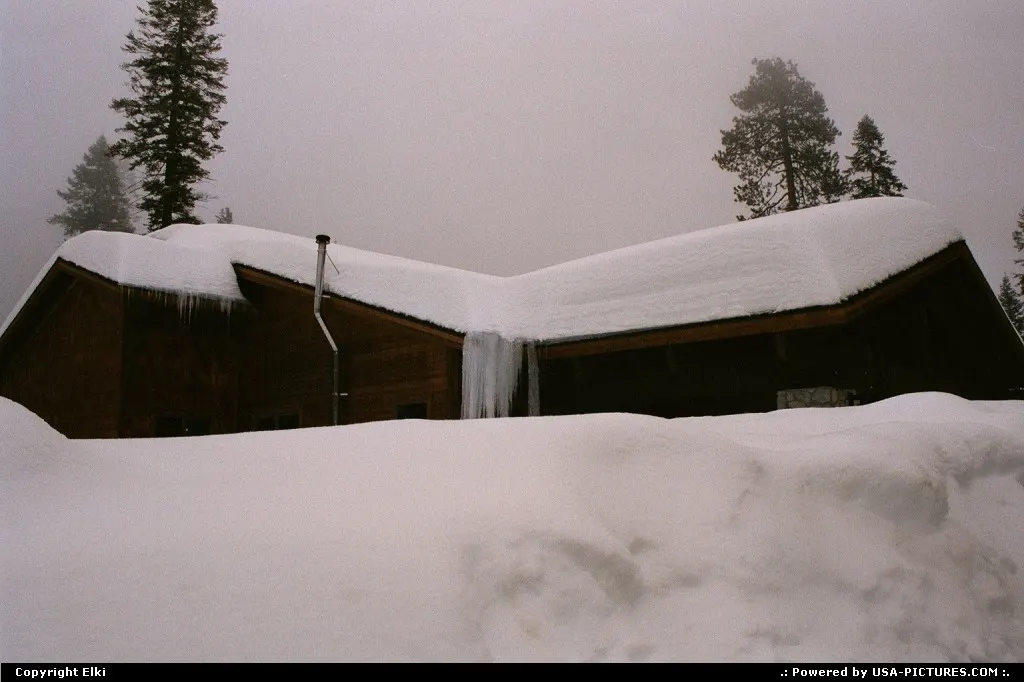 Winter in Sequoia