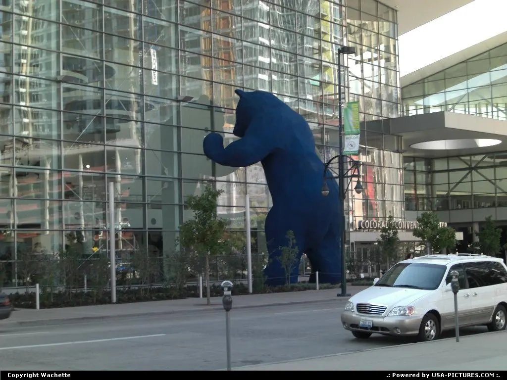 bear in front of convention center in denver
