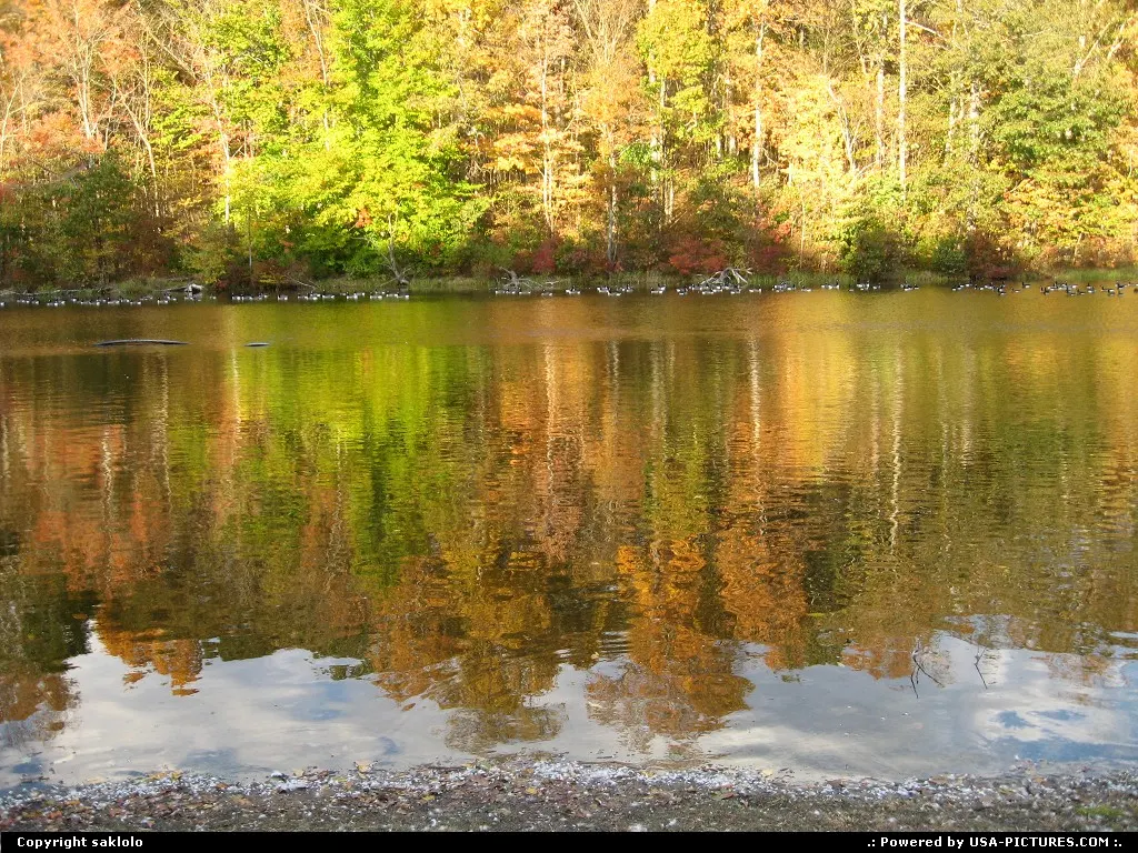 Not in a City Connecticut Autumn reflections