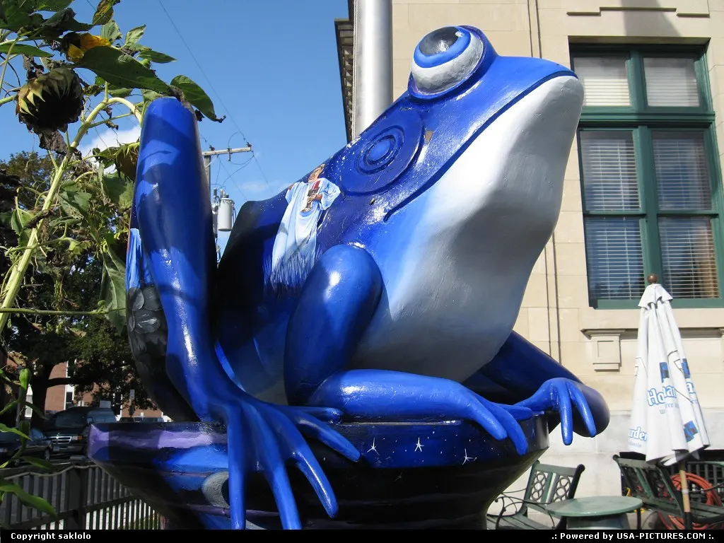 Not in a City Connecticut Blue Frog