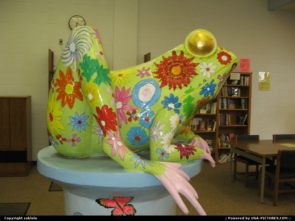 Not in a City Connecticut Technicolor frog