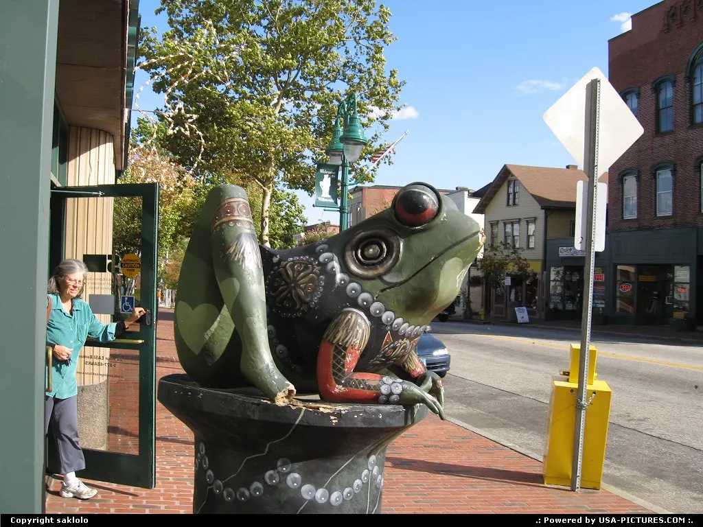 Not in a City Connecticut Frog Guarding Bank