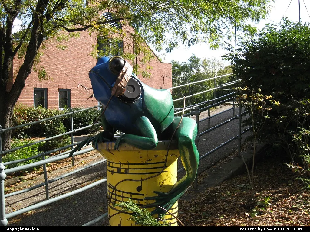 Not in a City Connecticut Frog Guarding Bridge