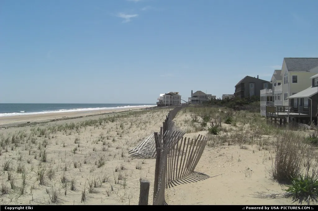 The beach
