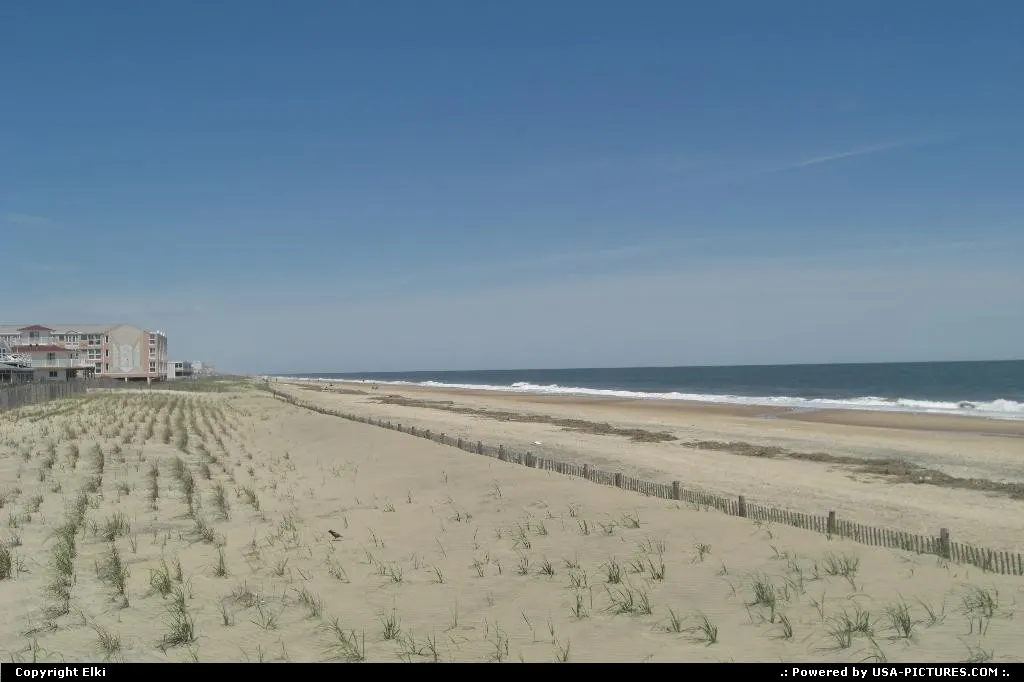 The beach