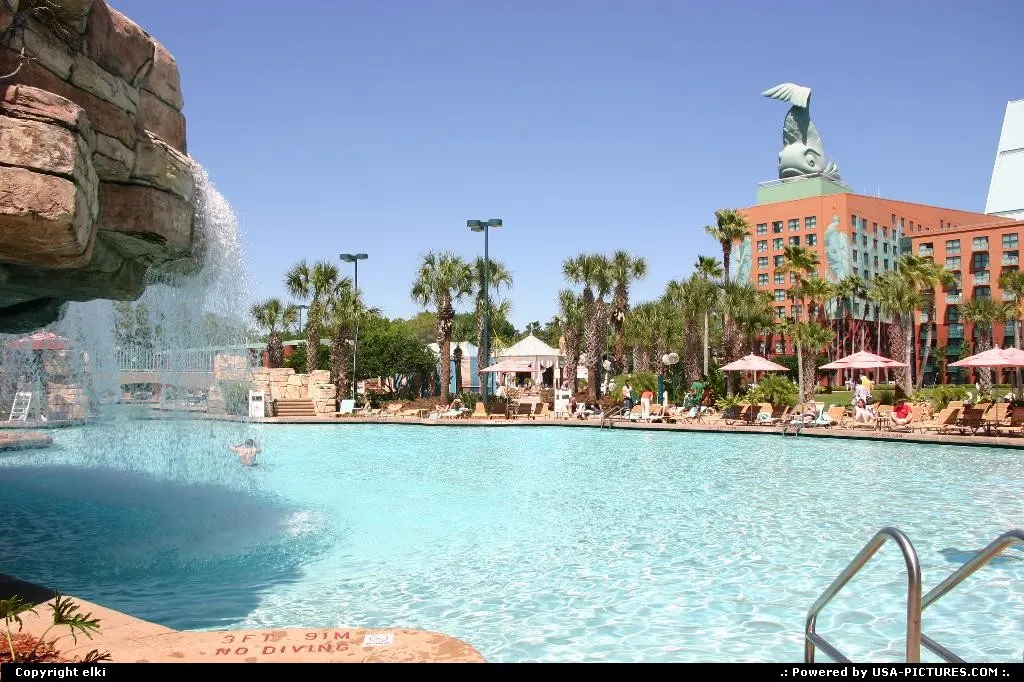 More than the average pool at the Swan and Dolphin resort in Disney, near Epcot