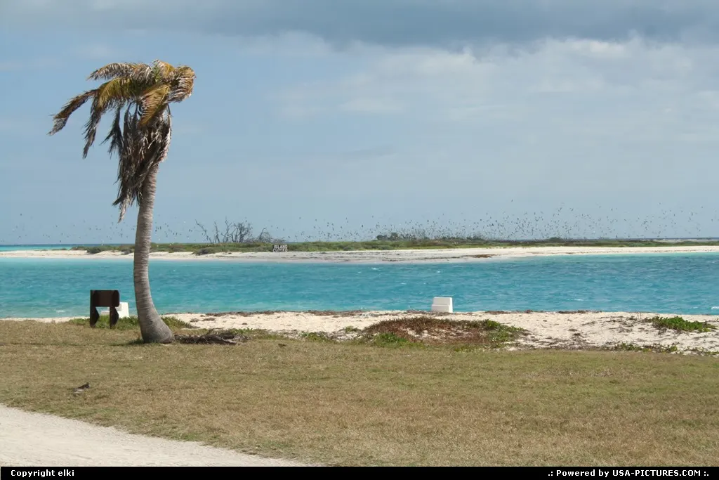 Fort jefferson