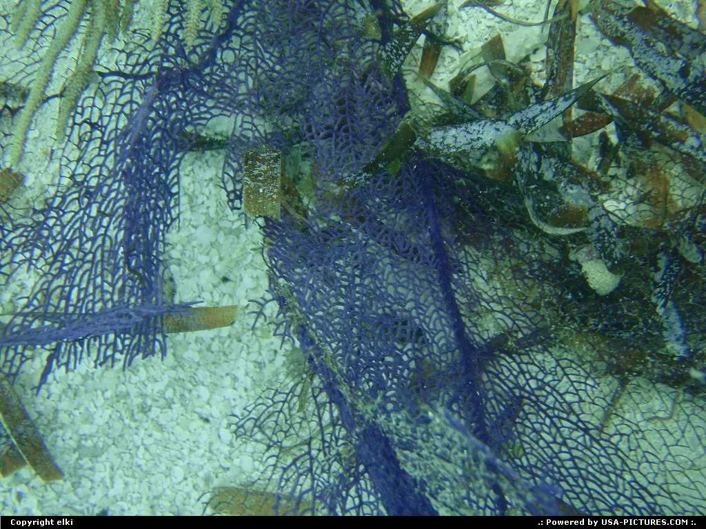 Snorkeling around the fort