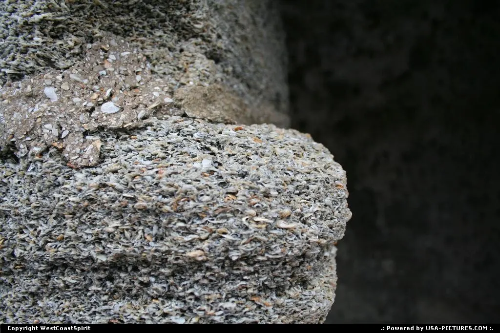 Coquina is the shellstone building material that forms the very foundation on which St...