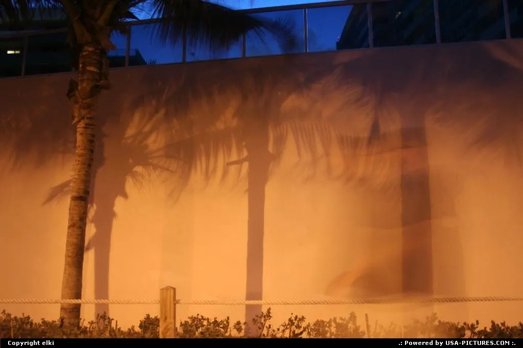 Miami beach