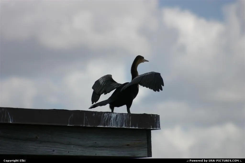 Warming the wings before take-off