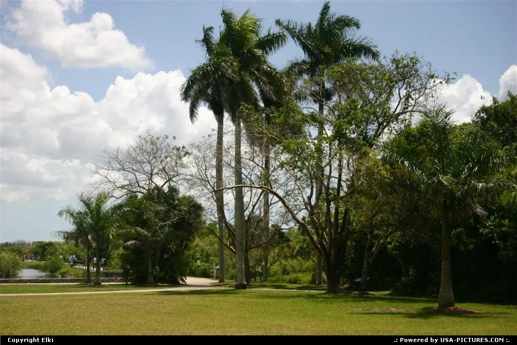 Within the park